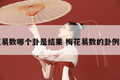 梅花易数哪个卦是结果 梅花易数的卦例精解