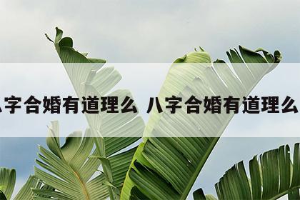 八字合婚有道理么 八字合婚有道理么吗