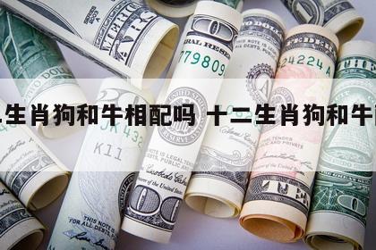 十二生肖狗和牛相配吗 十二生肖狗和牛配不配