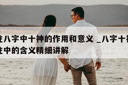 四柱八字中十神的作用和意义 _八字十神在四柱中的含义精细讲解