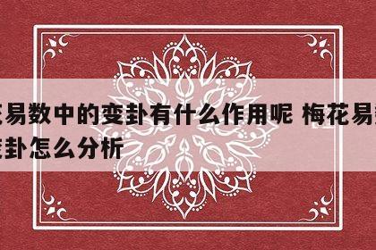 梅花易数中的变卦有什么作用呢 梅花易数算出变卦怎么分析