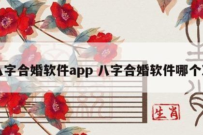 八字合婚软件app 八字合婚软件哪个准