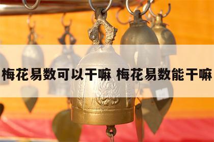 梅花易数可以干嘛 梅花易数能干嘛