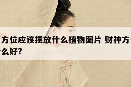 财神方位应该摆放什么植物图片 财神方位摆放什么好?