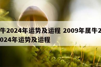 牛2024年运势及运程 2009年属牛2024年运势及运程