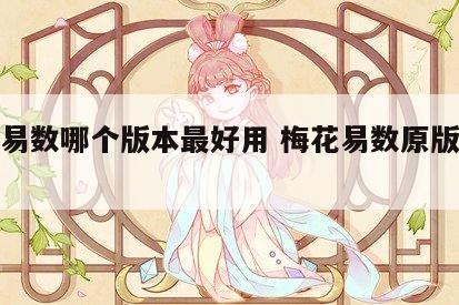 梅花易数哪个版本最好用 梅花易数原版从哪买