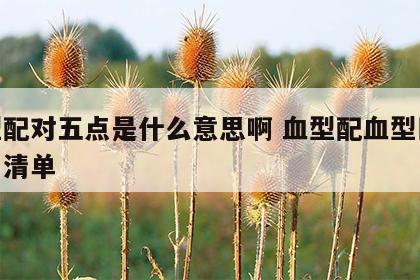 血型配对五点是什么意思啊 血型配血型匹配的名清单