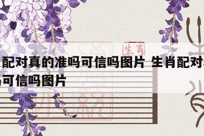 生肖配对真的准吗可信吗图片 生肖配对真的准吗可信吗图片