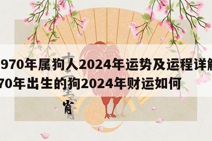 1970年属狗人2024年运势及运程详解 70年出生的狗2024年财运如何