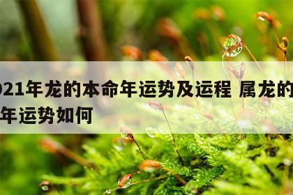 2021年龙的本命年运势及运程 属龙的本命年运势如何