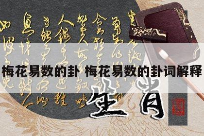 梅花易数的卦 梅花易数的卦词解释