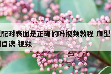 血型配对表图是正确的吗视频教程 血型配对表图口诀 视频