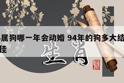 94属狗哪一年会动婚 94年的狗多大结婚最佳