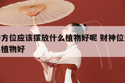 财神方位应该摆放什么植物好呢 财神位置放什么植物好