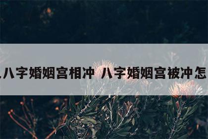 二人八字婚姻宫相冲 八字婚姻宫被冲怎么办