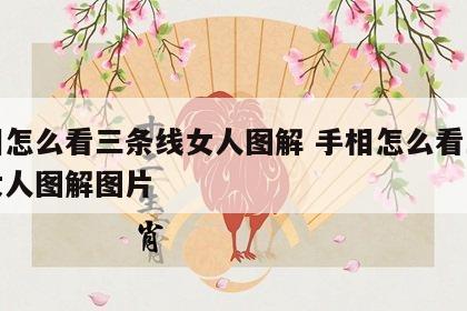手相怎么看三条线女人图解 手相怎么看三条线女人图解图片