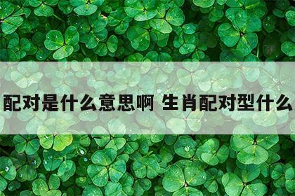 生肖配对是什么意思啊 生肖配对型什么意思