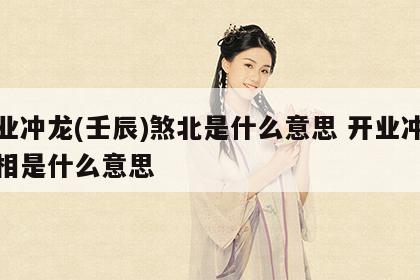 开业冲龙(壬辰)煞北是什么意思 开业冲煞属相是什么意思