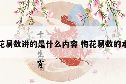 梅花易数讲的是什么内容 梅花易数的本质