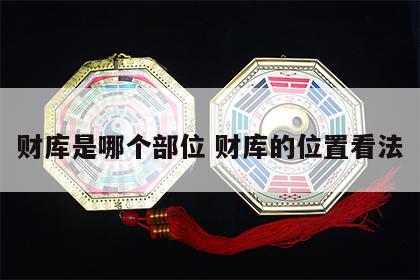 财库是哪个部位 财库的位置看法