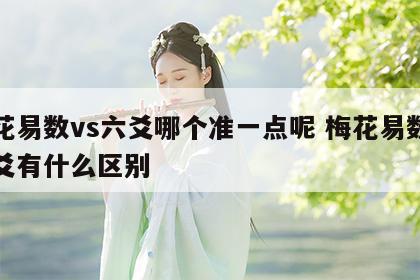 梅花易数vs六爻哪个准一点呢 梅花易数和六爻有什么区别