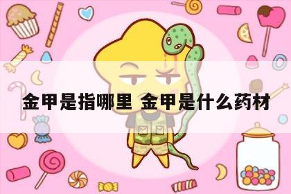 金甲是指哪里 金甲是什么药材