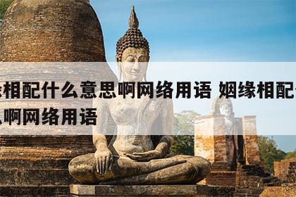 姻缘相配什么意思啊网络用语 姻缘相配什么意思啊网络用语