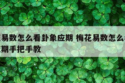 梅花易数怎么看卦象应期 梅花易数怎么看卦象应期手把手教