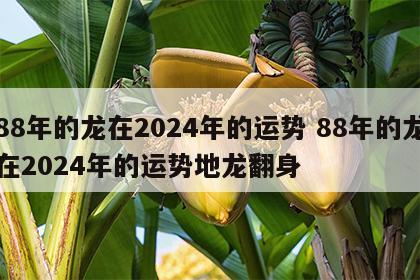 88年的龙在2024年的运势 88年的龙在2024年的运势地龙翻身