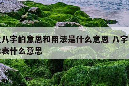 四柱八字的意思和用法是什么意思 八字四柱都代表什么意思