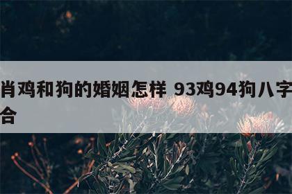 生肖鸡和狗的婚姻怎样 93鸡94狗八字合不合