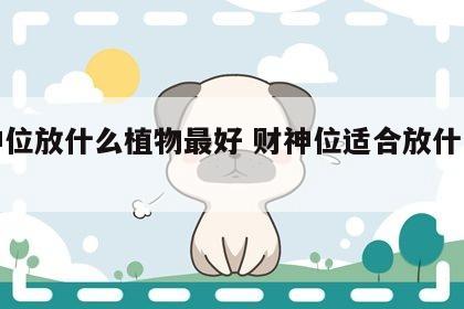 财神位放什么植物最好 财神位适合放什么盆栽
