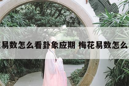 梅花易数怎么看卦象应期 梅花易数怎么卜卦