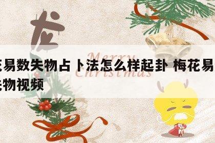 梅花易数失物占卜法怎么样起卦 梅花易数占卜失物视频