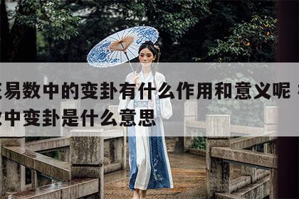 梅花易数中的变卦有什么作用和意义呢 梅花易数中变卦是什么意思