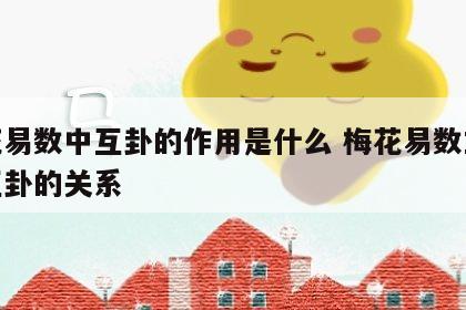 梅花易数中互卦的作用是什么 梅花易数主卦和互卦的关系