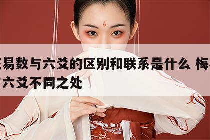 梅花易数与六爻的区别和联系是什么 梅花易数与六爻不同之处