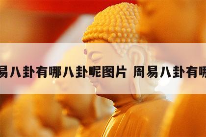 周易八卦有哪八卦呢图片 周易八卦有哪些