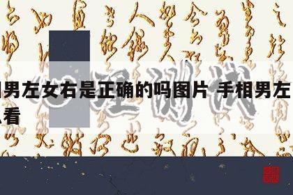 手相男左女右是正确的吗图片 手相男左女右怎么看