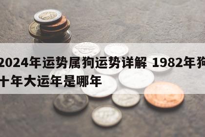 2024年运势属狗运势详解 1982年狗十年大运年是哪年