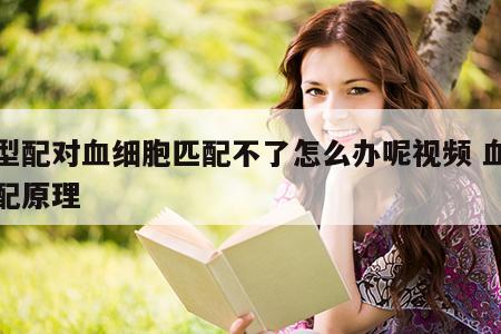 血型配对血细胞匹配不了怎么办呢视频 血型匹配原理
