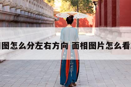 面相图怎么分左右方向 面相图片怎么看左右