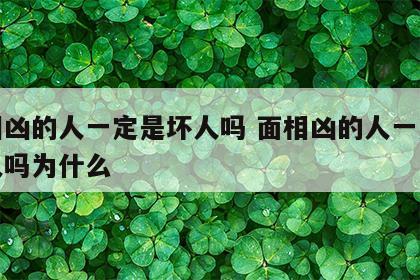 面相凶的人一定是坏人吗 面相凶的人一定是坏人吗为什么