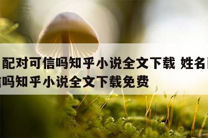 姓名配对可信吗知乎小说全文下载 姓名配对可信吗知乎小说全文下载免费
