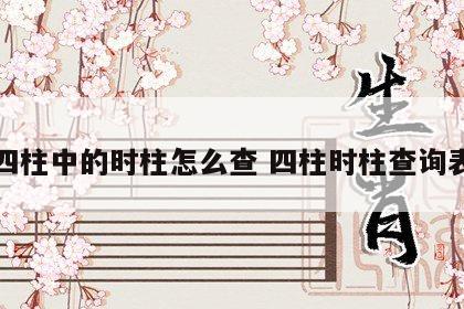 四柱中的时柱怎么查 四柱时柱查询表