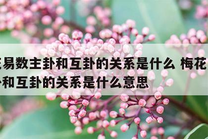 梅花易数主卦和互卦的关系是什么 梅花易数主卦和互卦的关系是什么意思