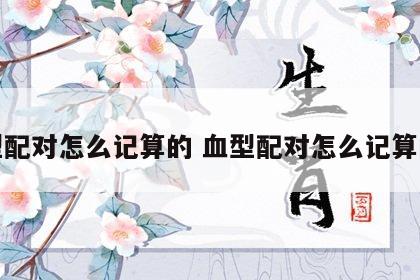 血型配对怎么记算的 血型配对怎么记算的啊