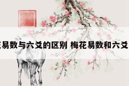 梅花易数与六爻的区别 梅花易数和六爻区别