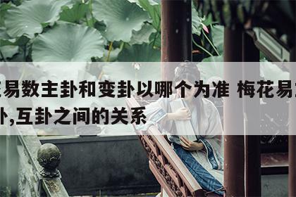 梅花易数主卦和变卦以哪个为准 梅花易主卦,变卦,互卦之间的关系