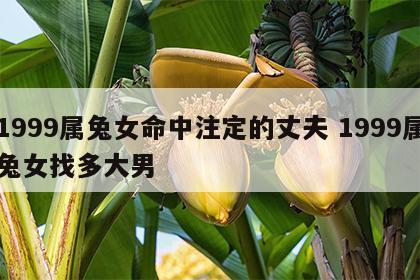 1999属兔女命中注定的丈夫 1999属兔女找多大男
